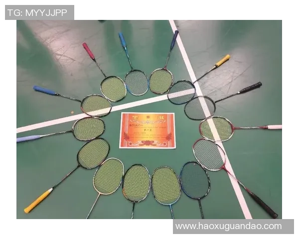 南京羽毛球队再创佳绩最新羽毛球耐力排行榜前十强揭晓